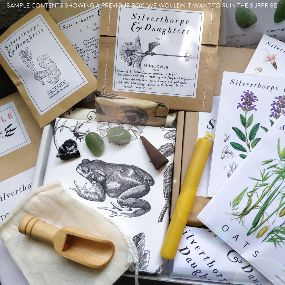 Sabbat Celebration Box contents. Candle, crystals, wooden scoop, insense cones, seeds, spell ingredients, sabbat guide.